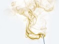 2023-2024柑橘病蟲害防治用藥指南最新版：科學用藥方案與綠色防控技術解析