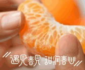 春見粑粑柑吃了會(huì)上火嗎_耙耙柑的學(xué)名