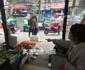 杭州柑橘樹(shù)苗類新品種_桔子酒店跟桔子水晶酒店有什么區(qū)別