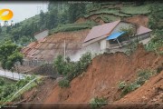 石門(mén)柑橘種植技術(shù)視頻_有人在黃昏里拍過(guò)照片嗎