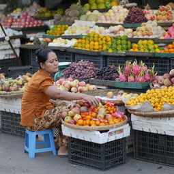 柑橘小樹(shù)不想掛果怎么處理視頻（柑橘小樹(shù)不想掛果怎么處理視頻教學(xué)）