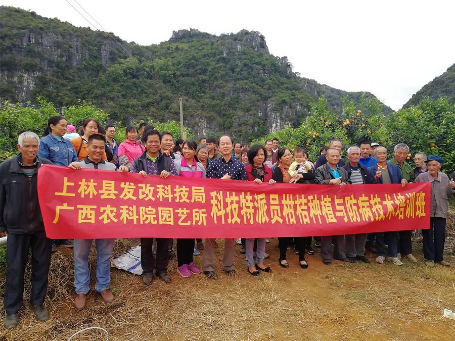 如何申請(qǐng)柑橘新品種專利_虎牙心態(tài)曲播模擬張大仙發(fā)型